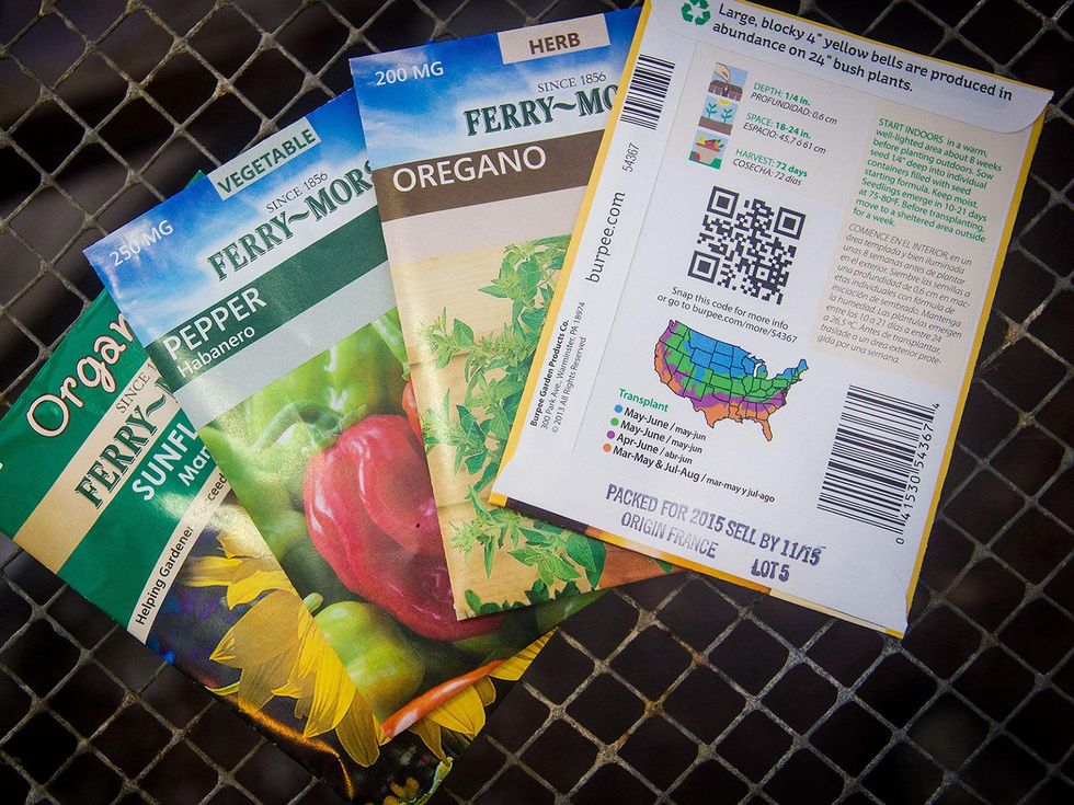 Picture of seeds packets