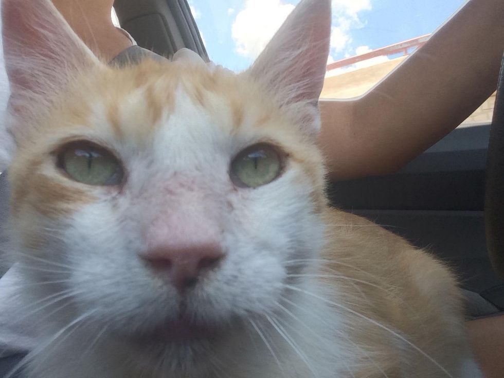 Picture this Pet: Bruno 3