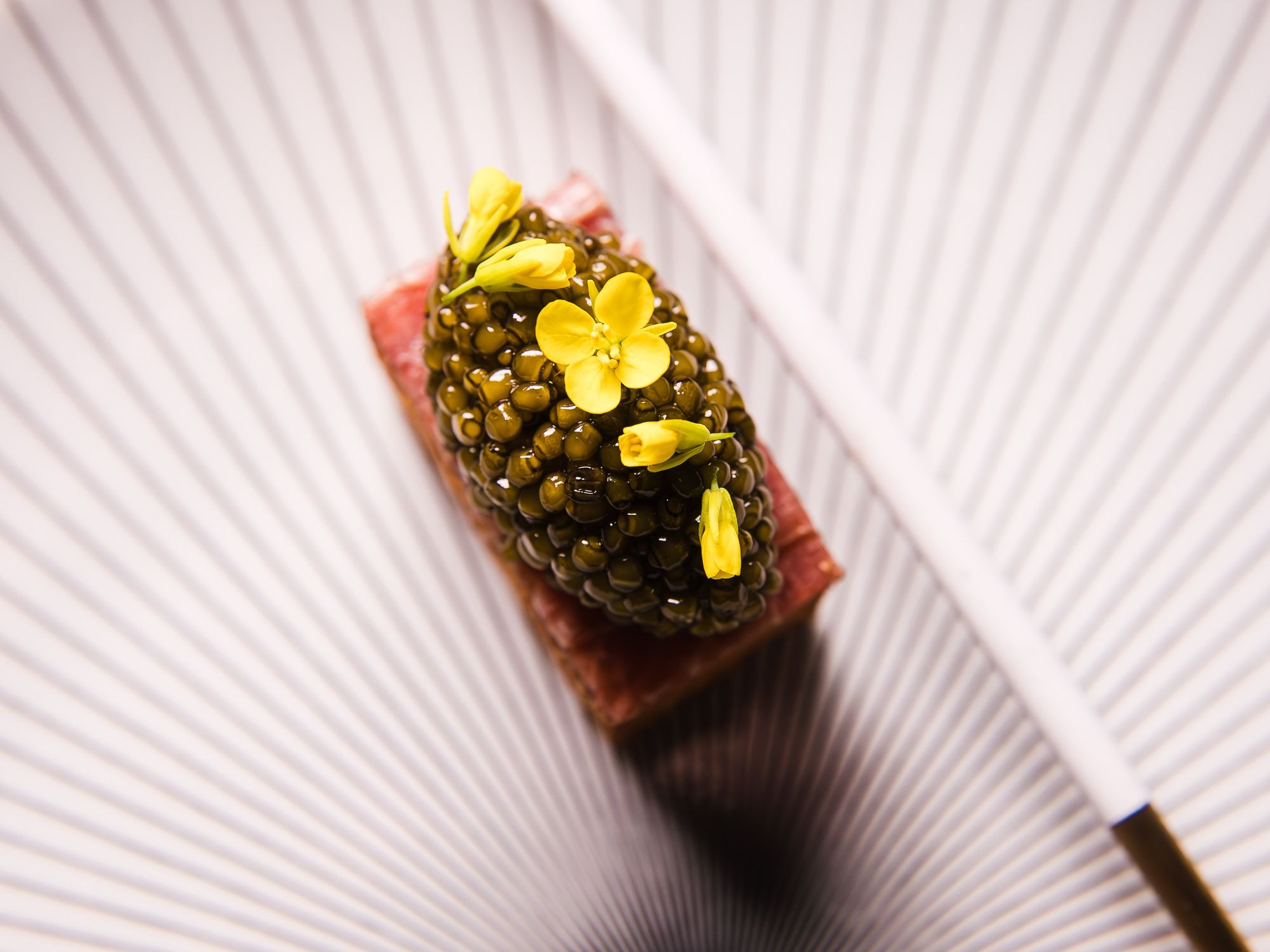 Pr\u00e9lude Austin dish