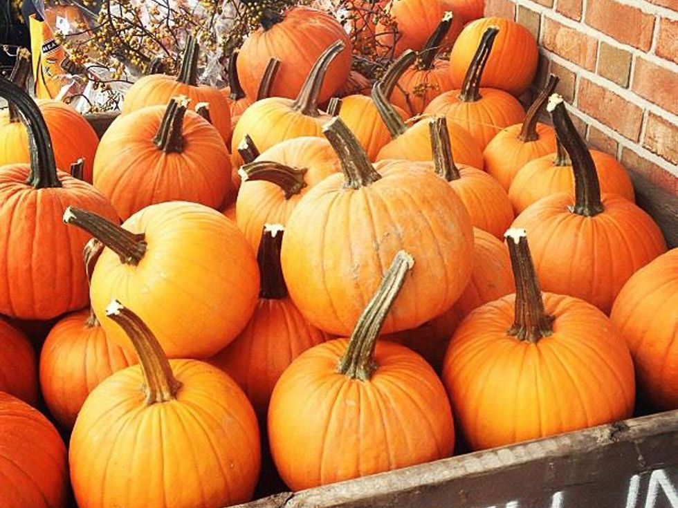pumpkins September 2013 HORIZONTAL