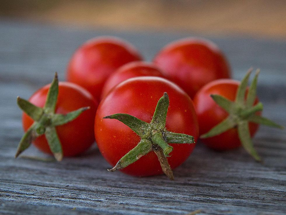 Punta Banda tomatoes
