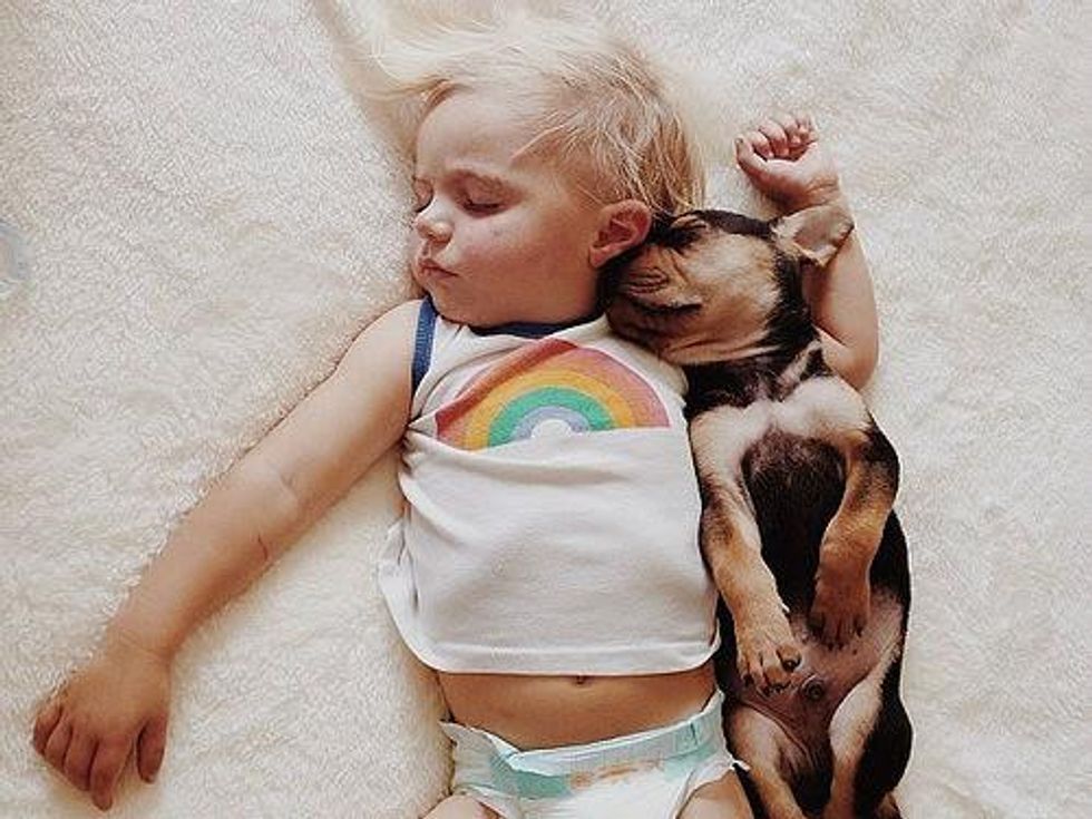 Puppy brother naptime