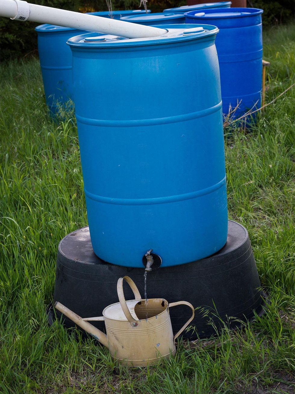 Rain harvesting barrel with watering can