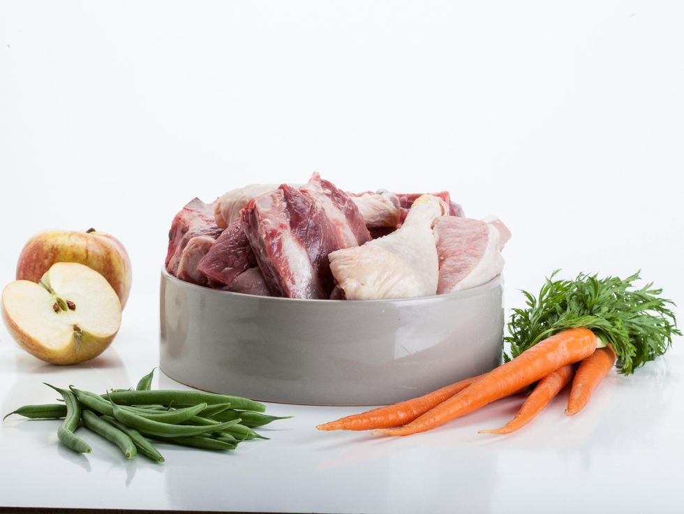 raw meat vegetables and fruit in a dog bowl