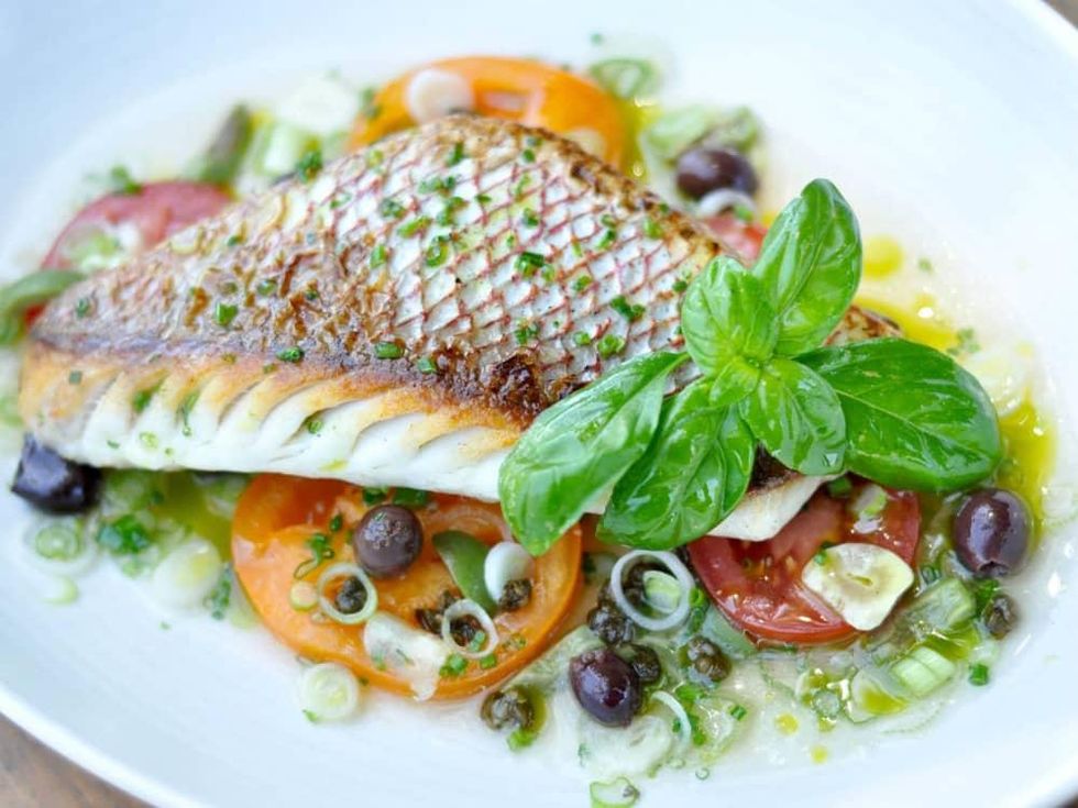 Red Ash Italian restaurant Austin Gulf red snapper