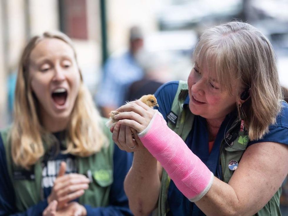 REI employees hold a baby chick at Coop's first REI popup event over Labor Day weekend.