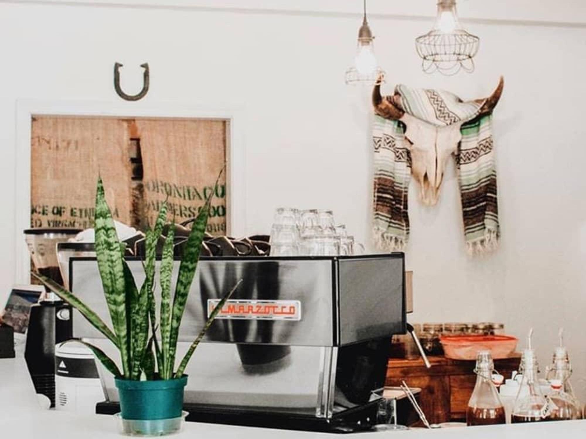 Revival coffee east austin