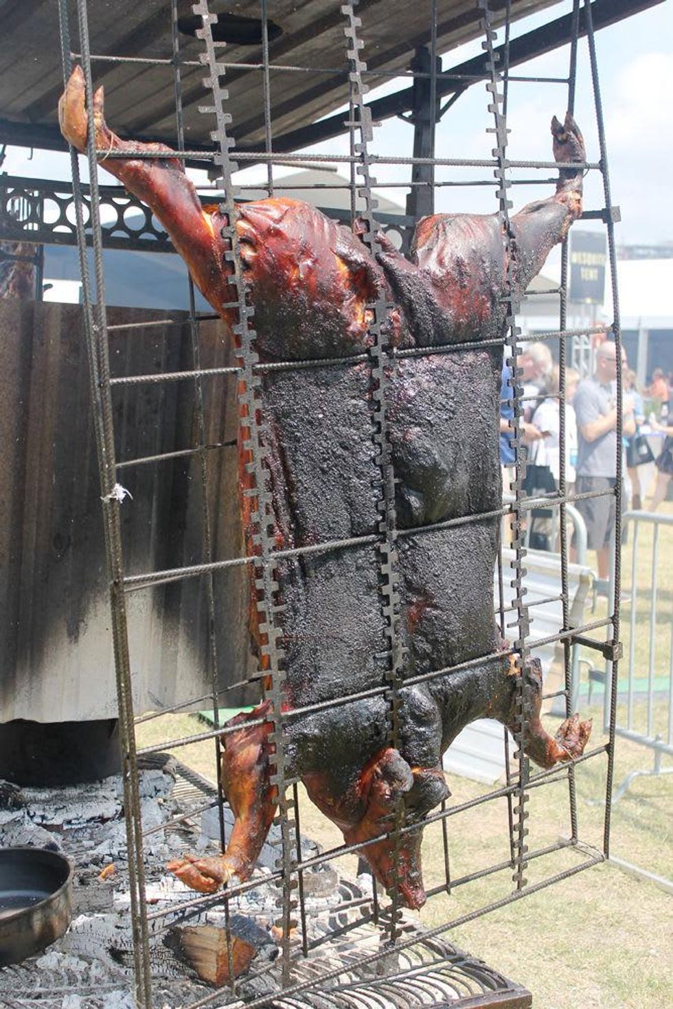 Roasting pig at the Austin Food and Wine Festival Fire Pits