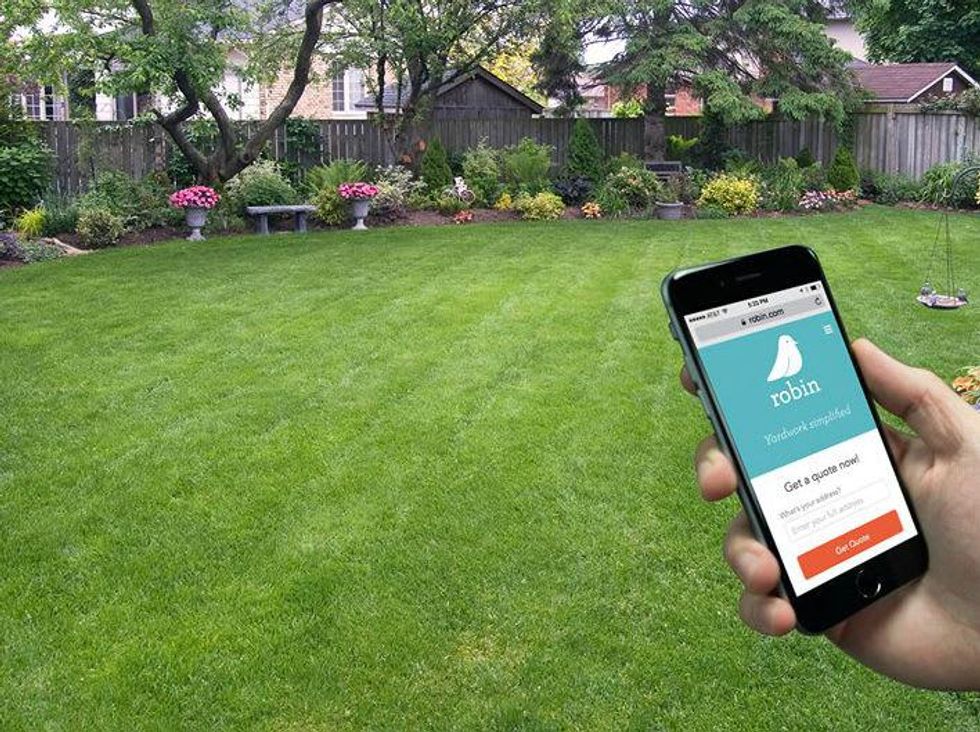 Robin lawn care mow yard