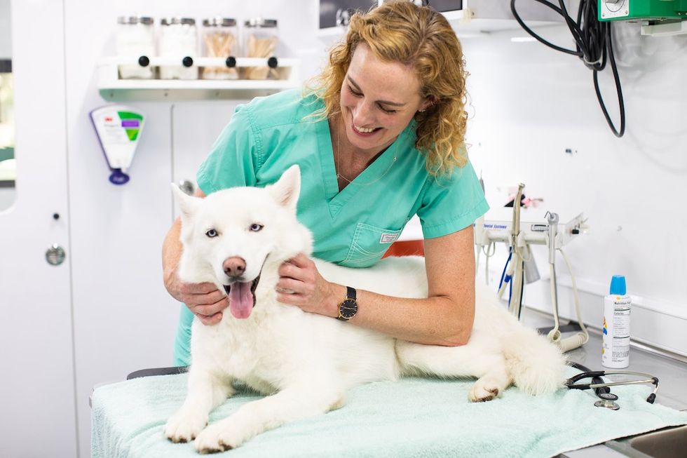 Rockin' Pets, Rollin' Vets