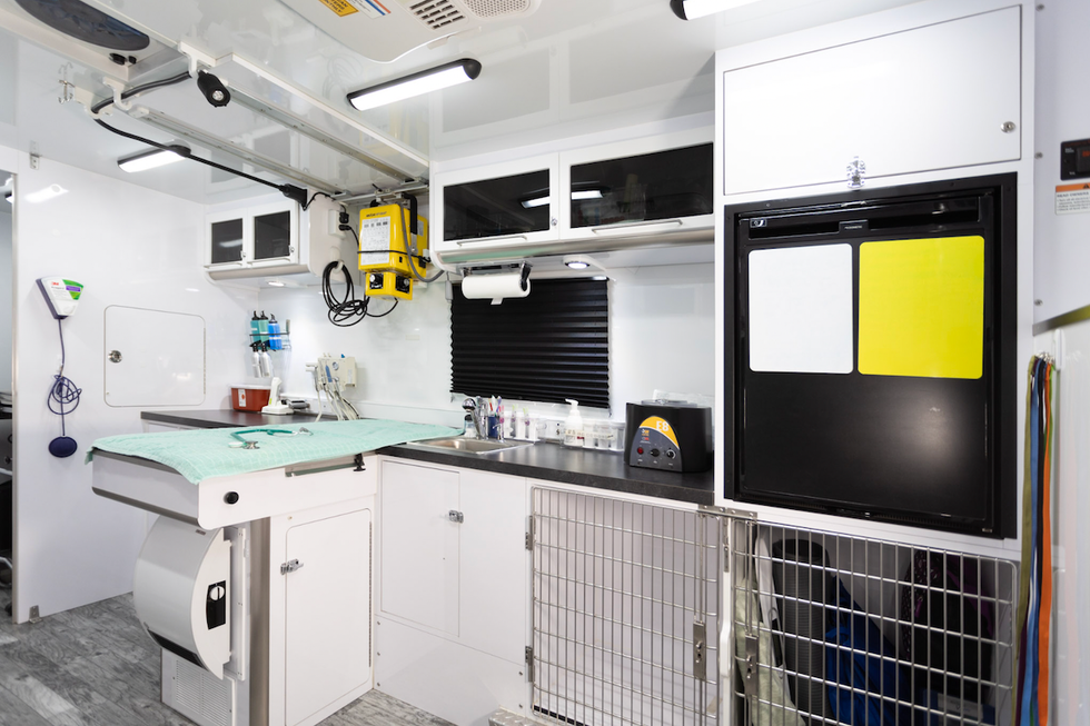 Rockin' Pets, Rollin' Vets