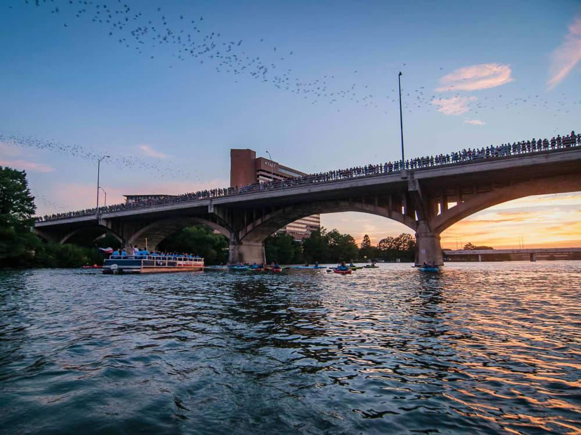 Kayaking Bat Austin Everything to know about where to watch Austin's famous bats fly ...