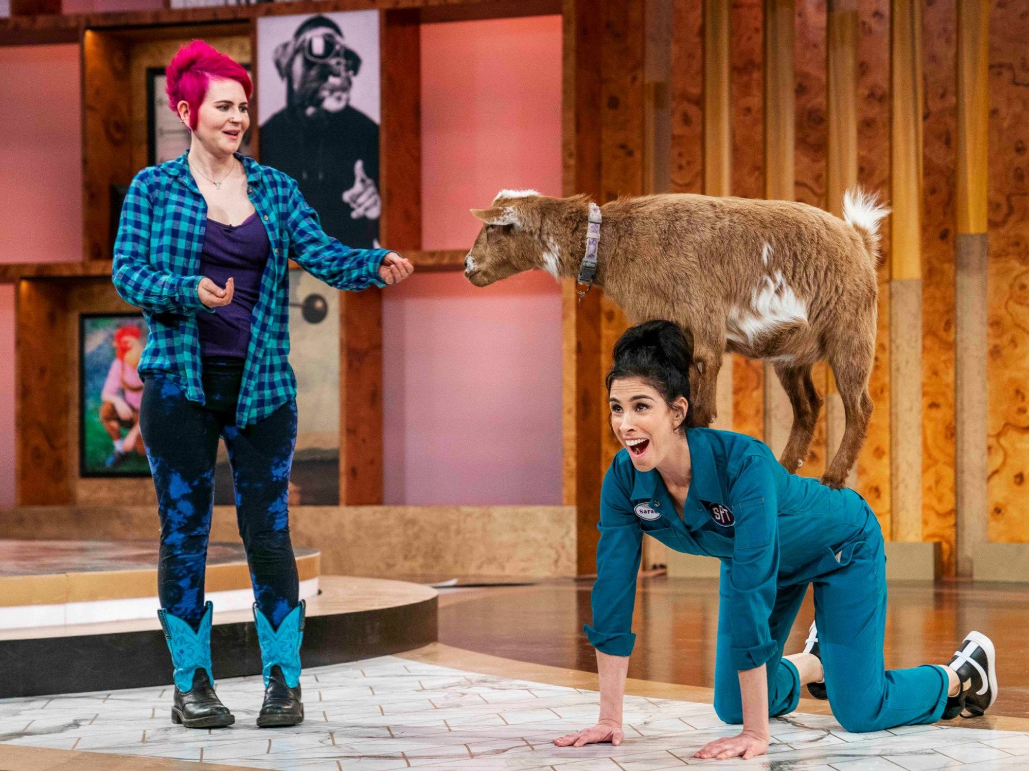 Sarah Silverman stupid pet tricks