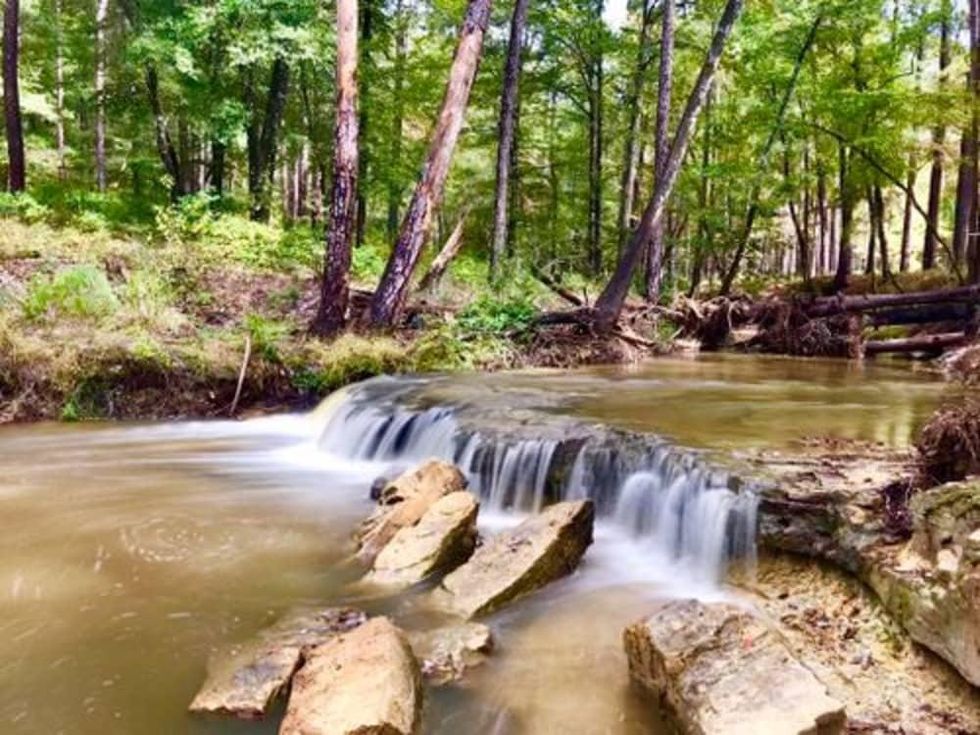 Sawmill Hiking Trail