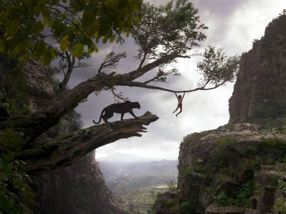Scene from The Jungle Book