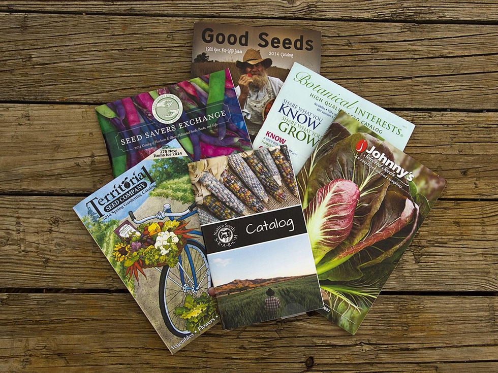 Seed catalogs