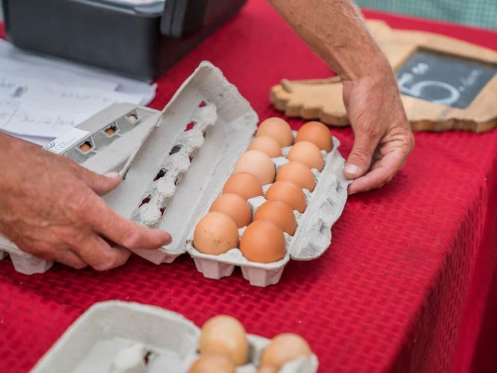 SFC Farmers Market Frost Pop Up Event