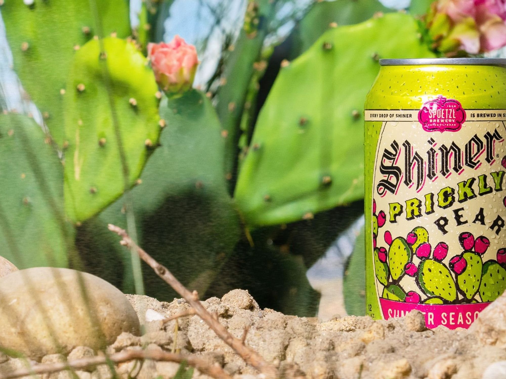 Shiner Prickly Pear Lager