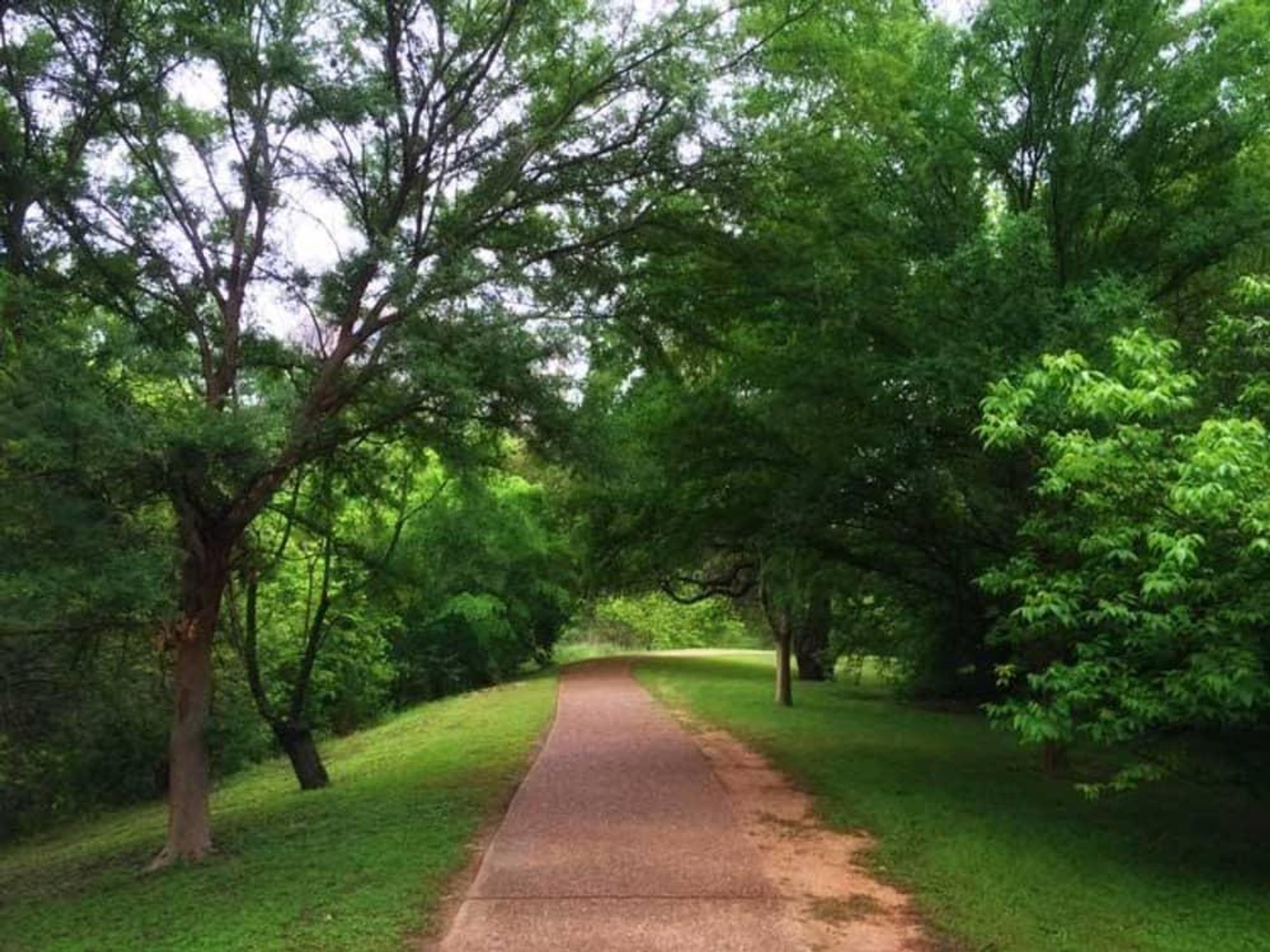 Shoal Creek Hike and Bike Trail