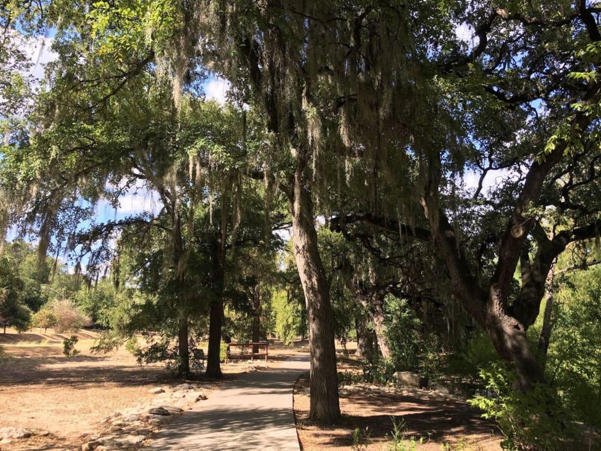 Shoal Creek Trail hike an dbike