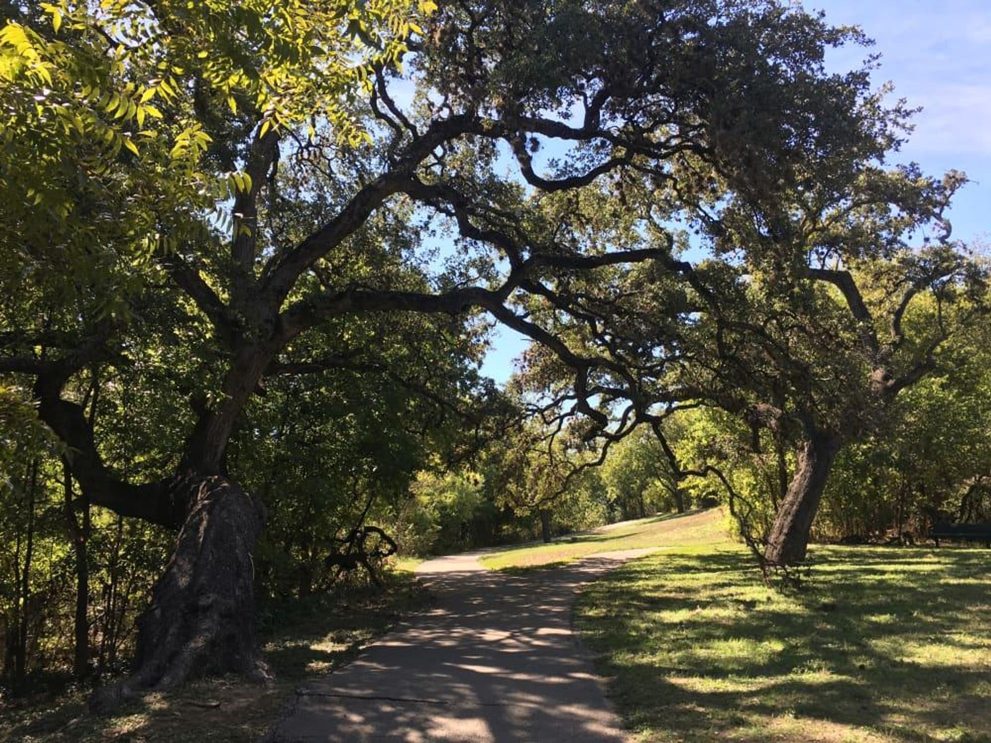 Shoal Creek Trail