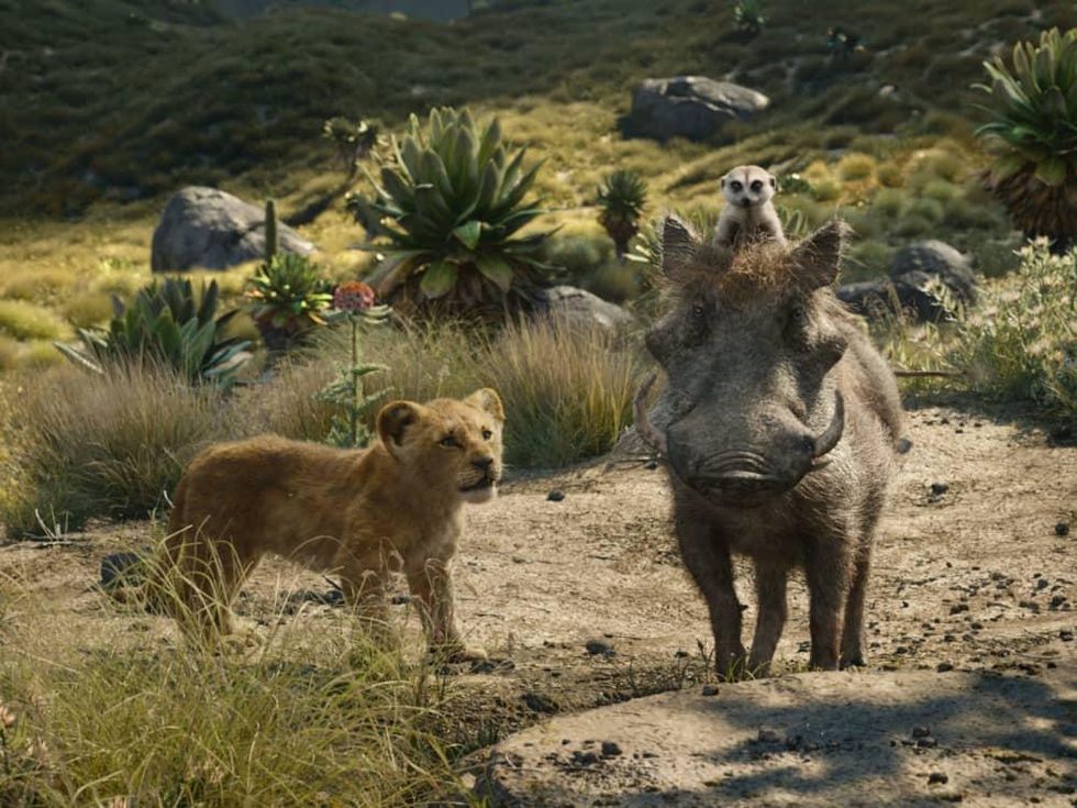 Simba, Pumbaa, and Timon in The Lion King