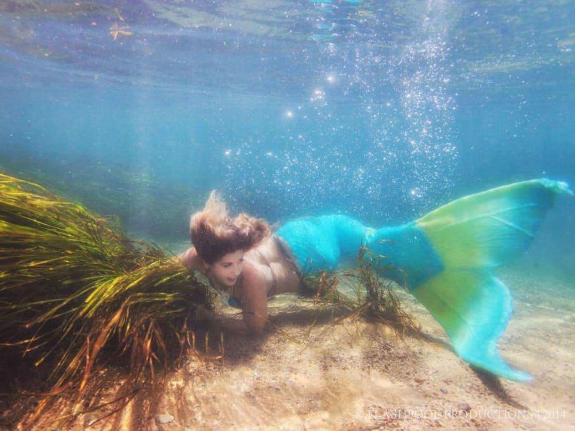 Sirenalia mermaid rental