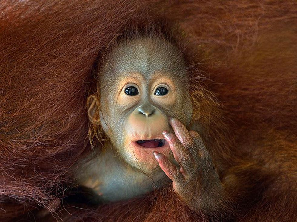 Sony World Photography Awards