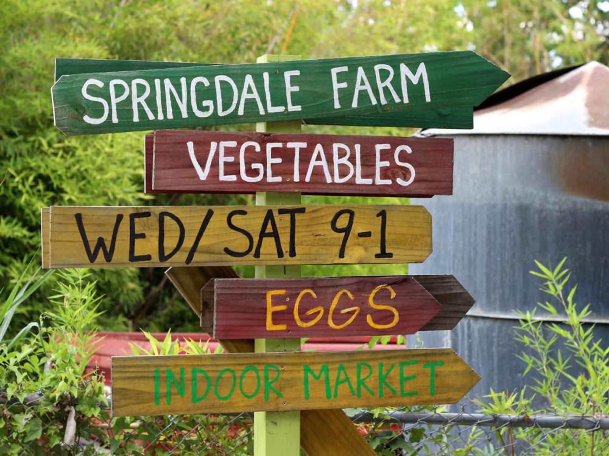 Sonya Cote Eden East at Springdale Farms in Austin 4133