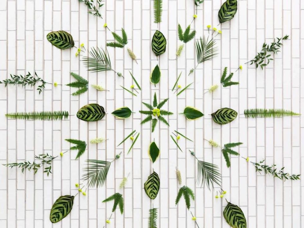 South Congress Hotel Winter Workshops Event Vines