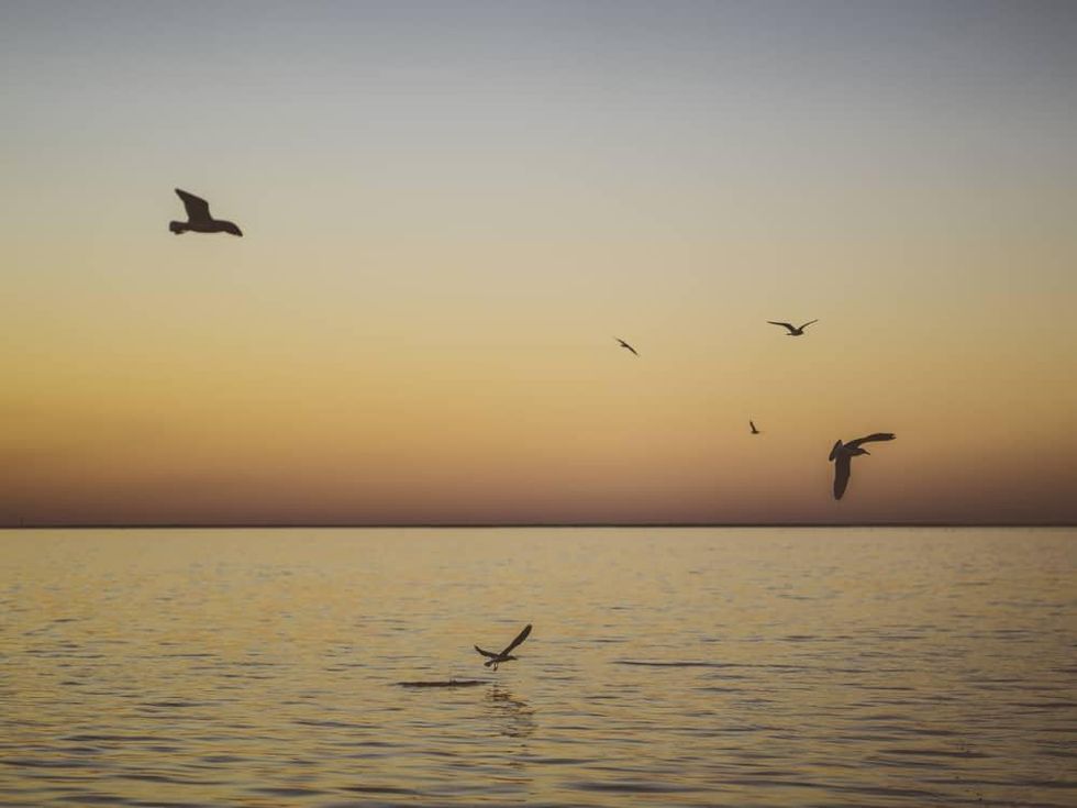 South Padre Island beach