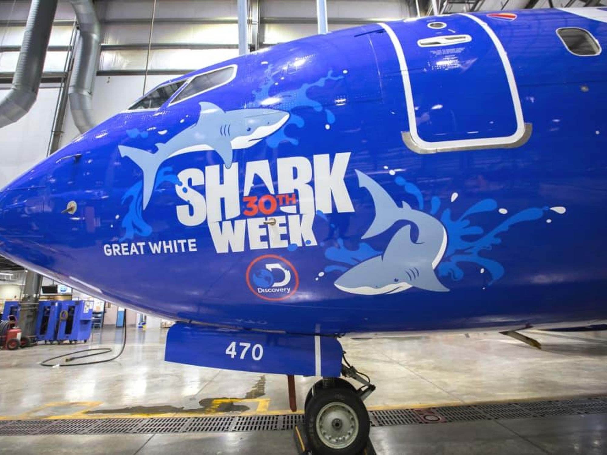 Southwest Airlines Shark Week jets
