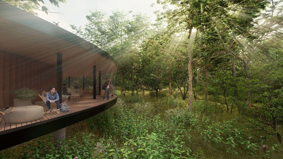 Springdale Green in East Austin