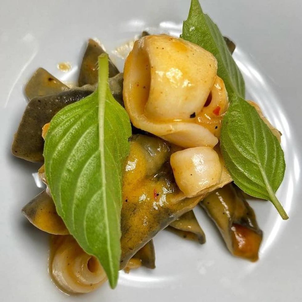 Squid Ink Garganelli