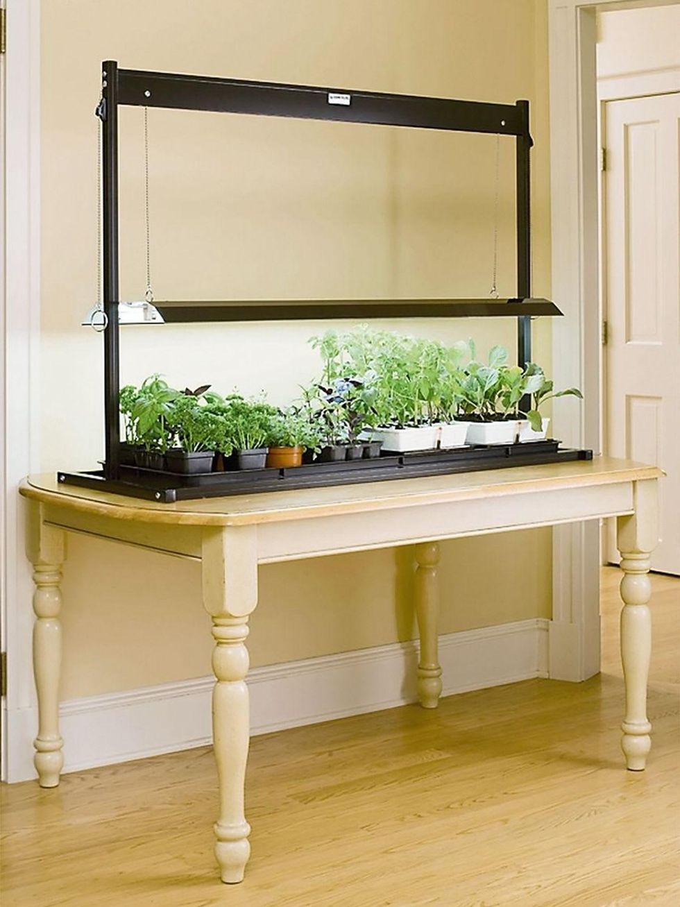 Standard Tabletop Sunlite Garden