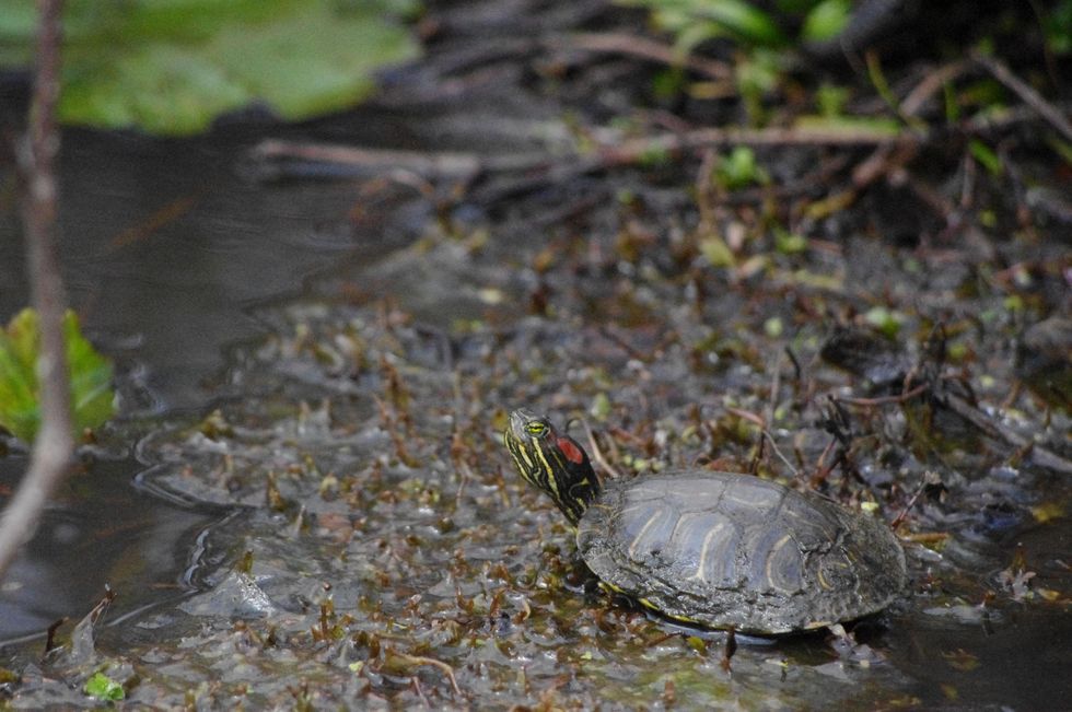 Stephan_Lorenz_Santa_Ana