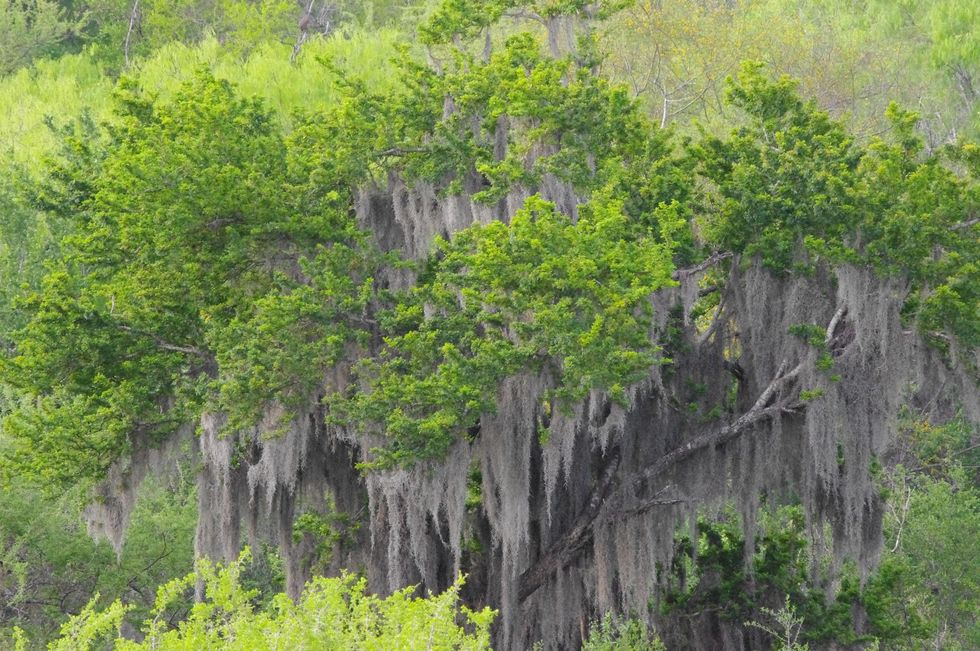 Stephan_Lorenz_Santa_Ana