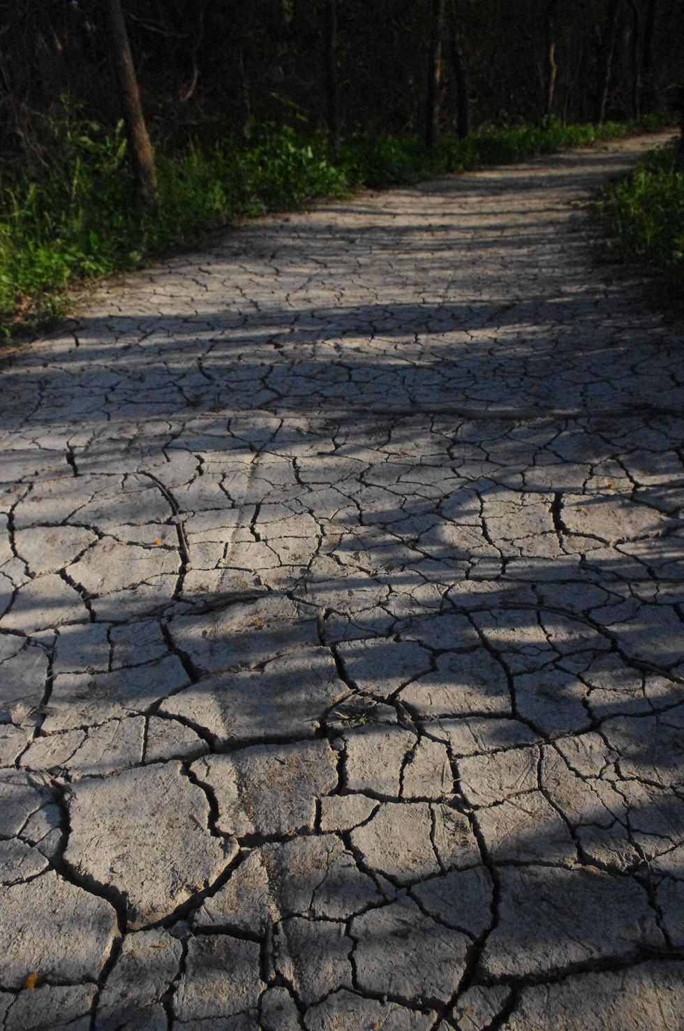 Stephan_Lorenz_Santa_Ana