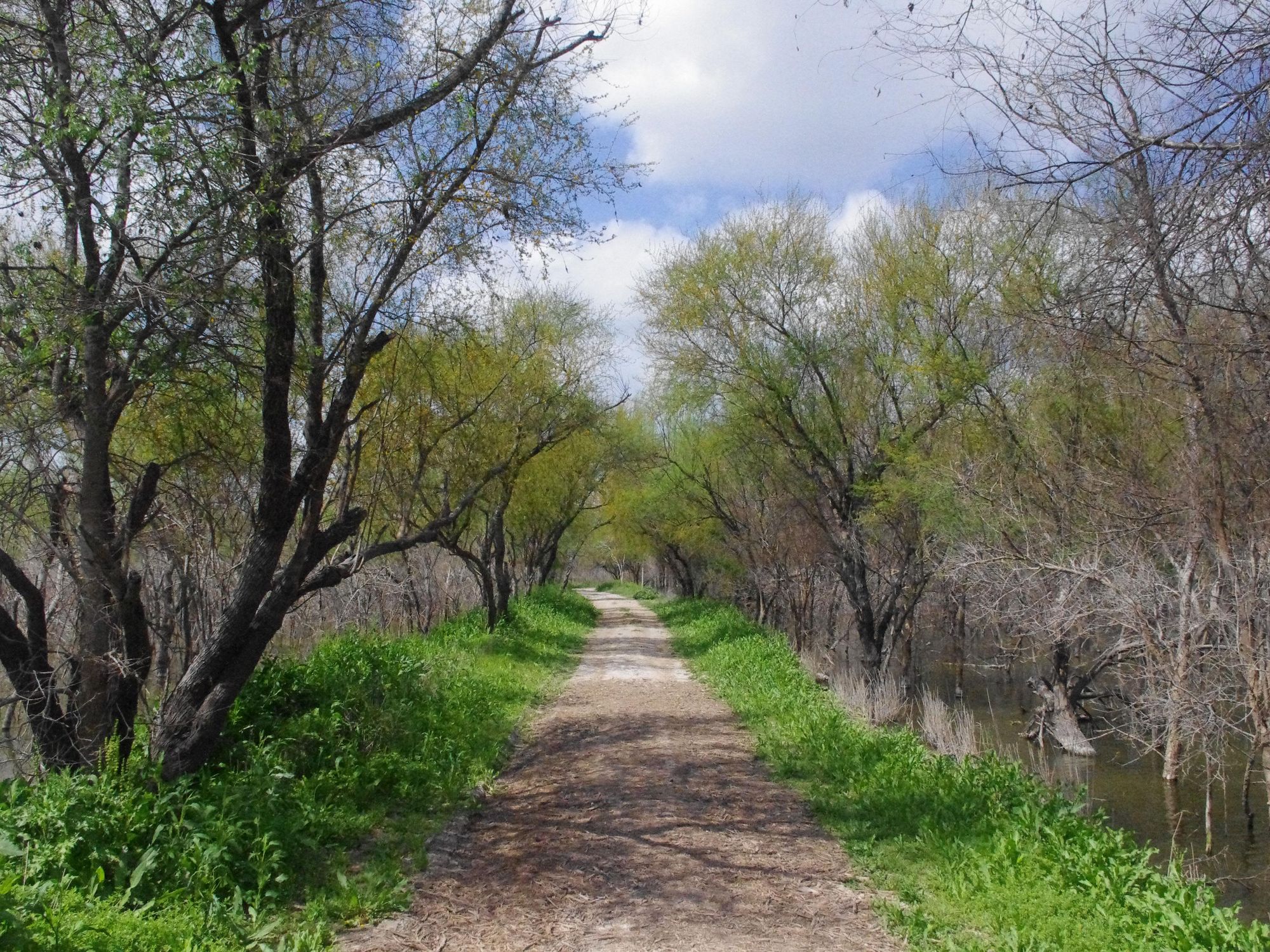 Stephan_Lorenz_Santa_Ana