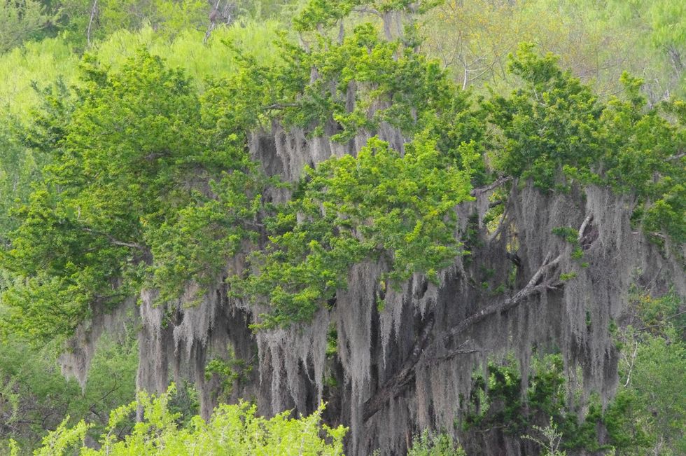 Stephan_Lorenz_Santa_Ana