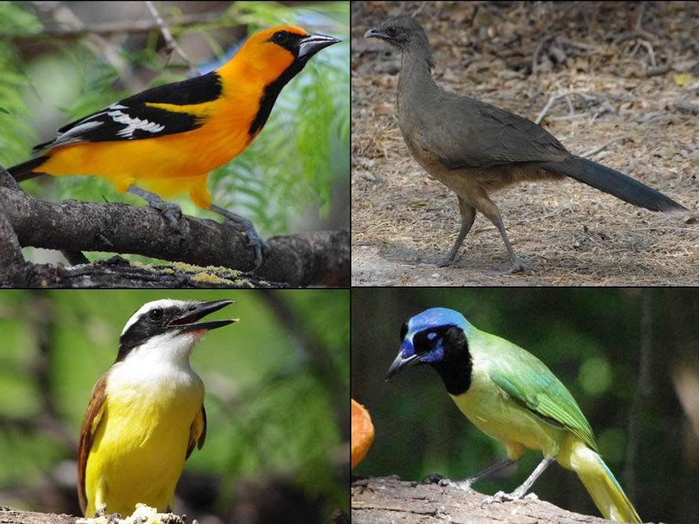 Stephan_Lorenz_Santa_Ana