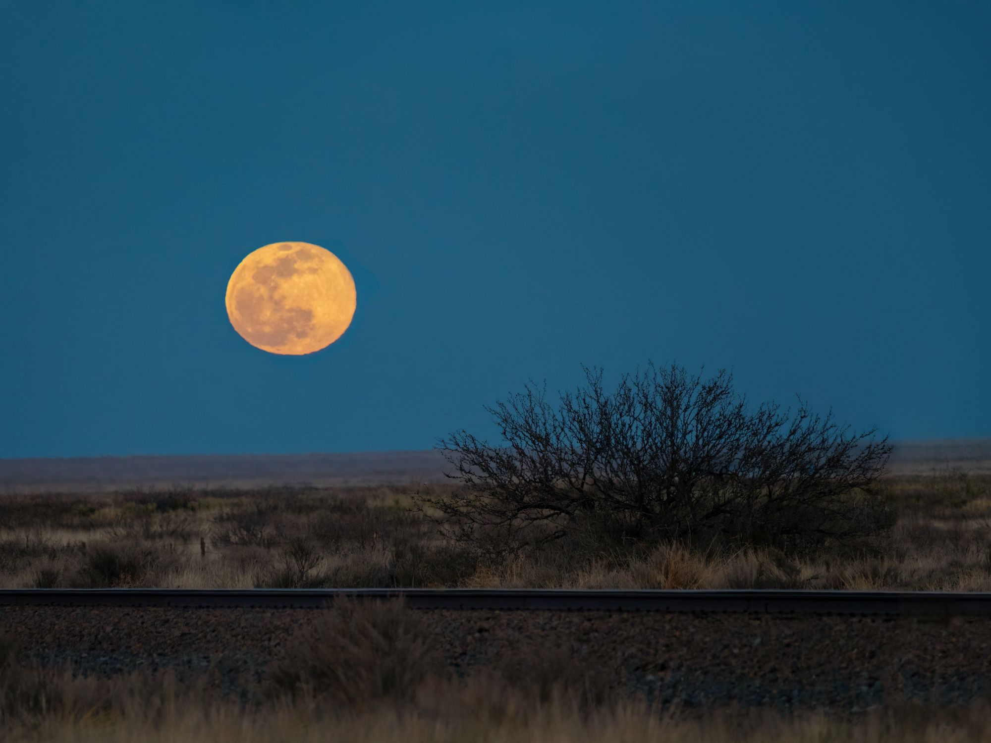 Supermoon in Texas