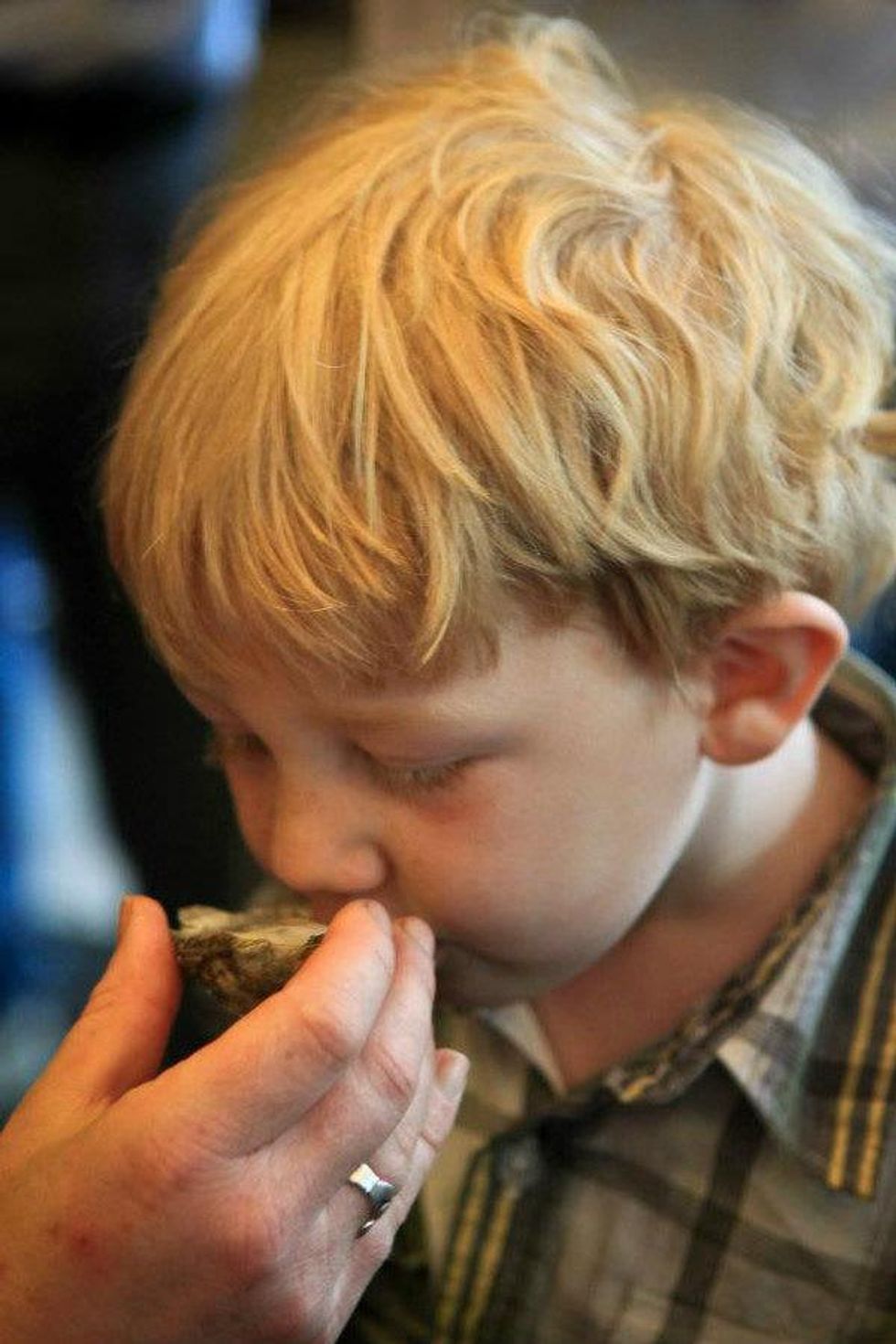 Taylor Shellfish at Melrose Market
