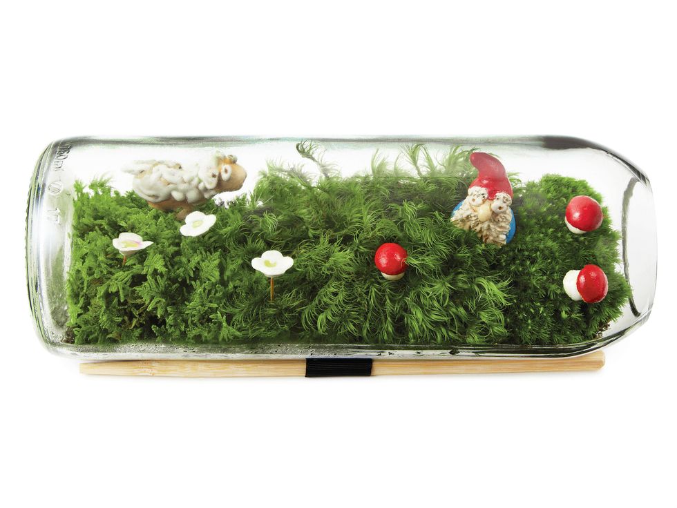 Terrarium Pinterest gift