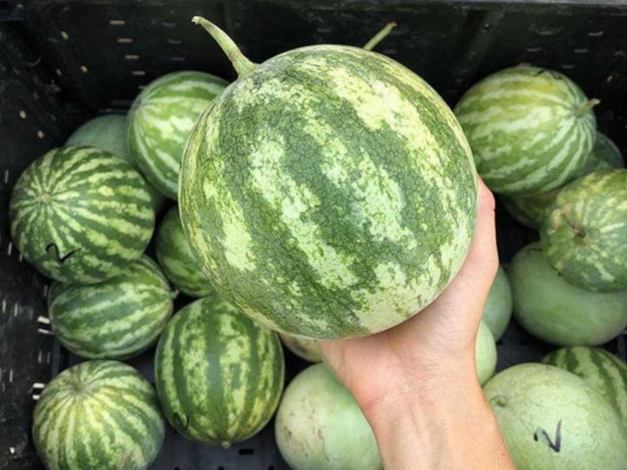 Texas Farmers' Market at Mueller
