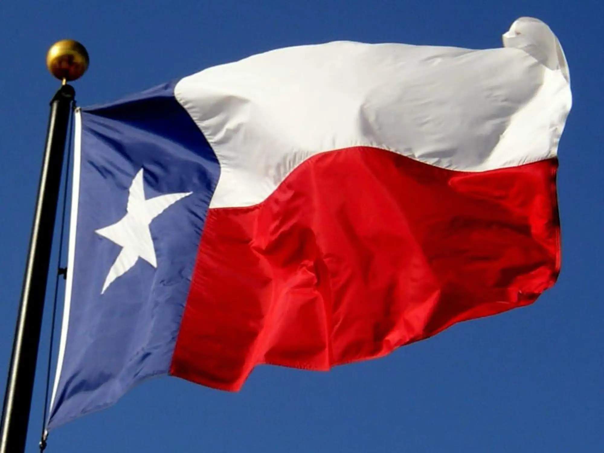 Texas flag