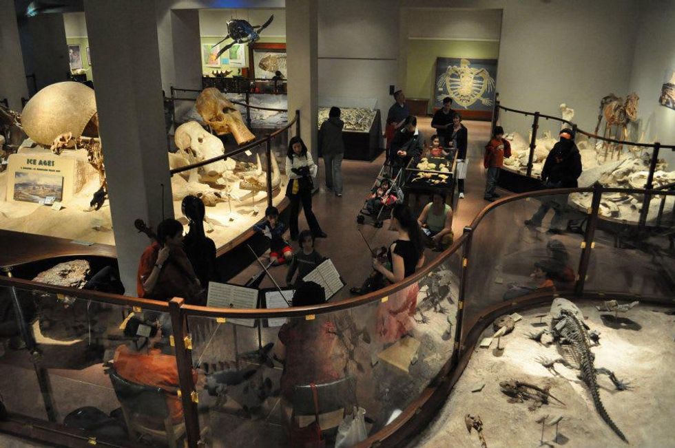 Texas Memorial Museum interior