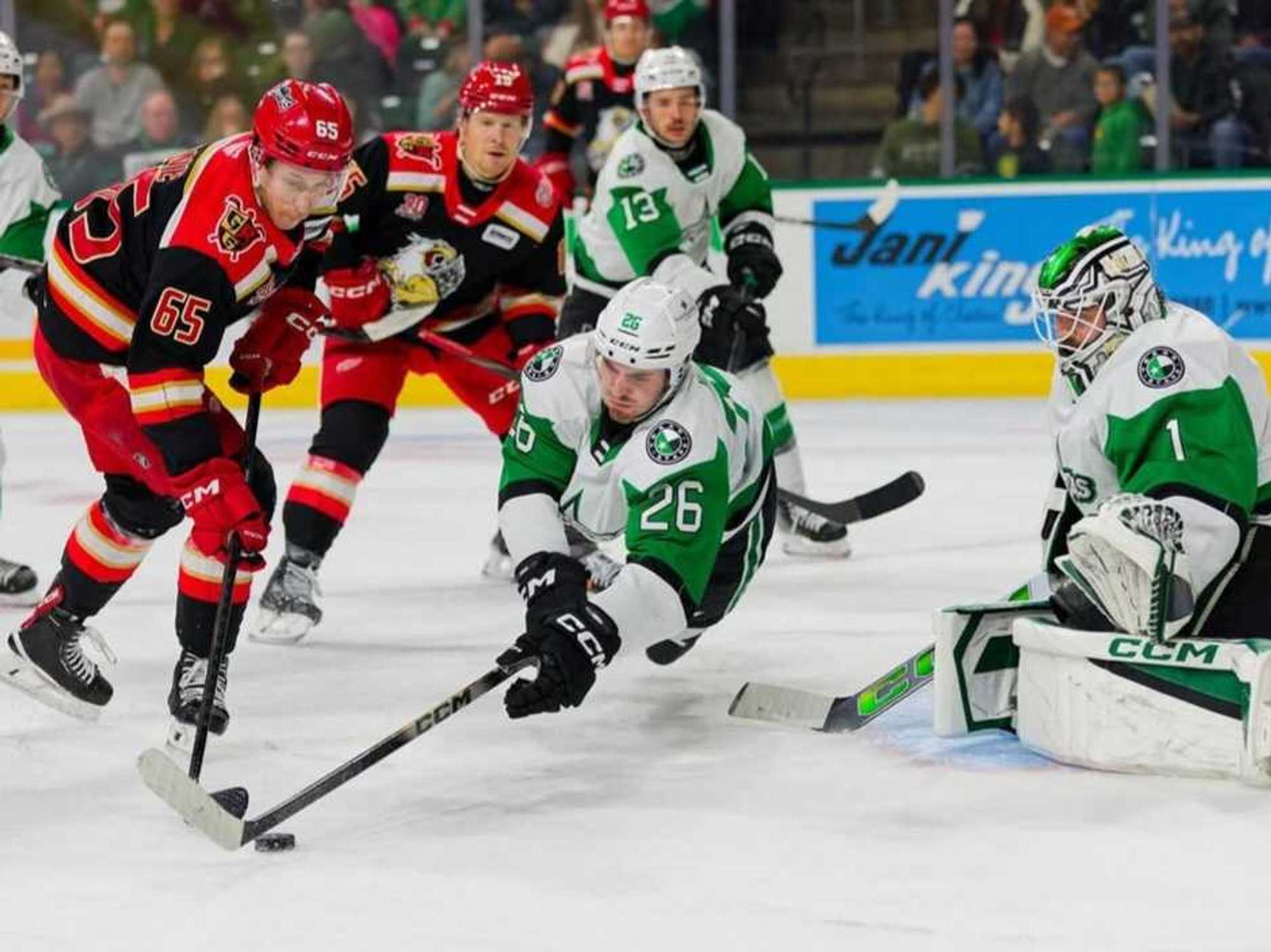 Texas Stars