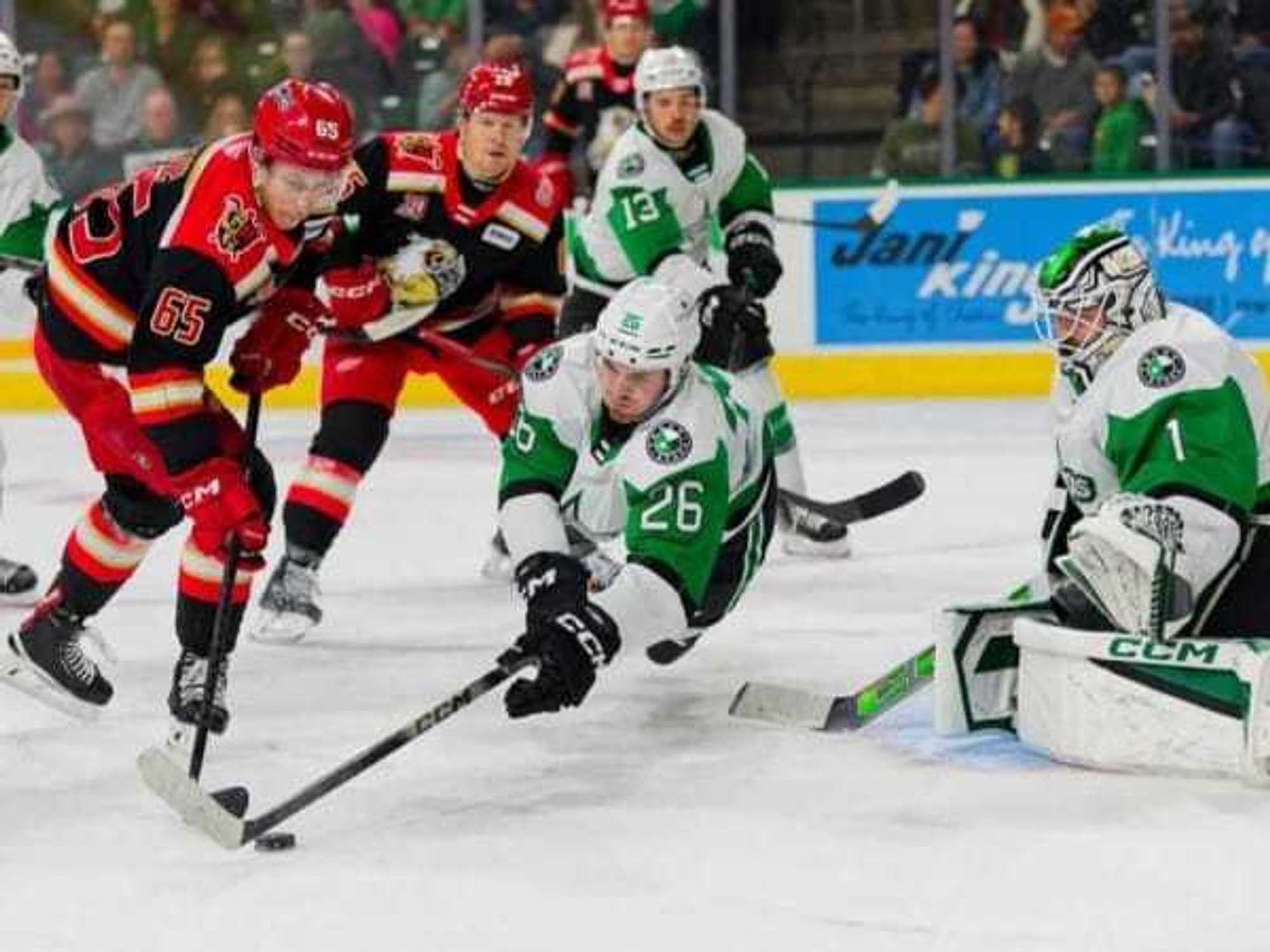 Texas Stars