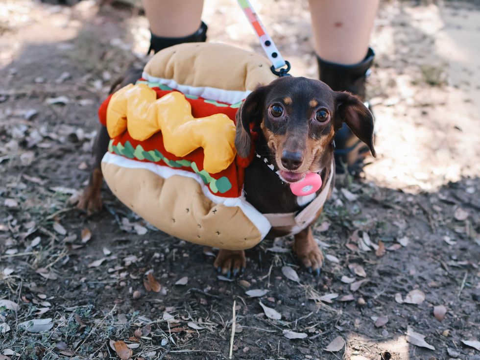 Texas Wienerfest